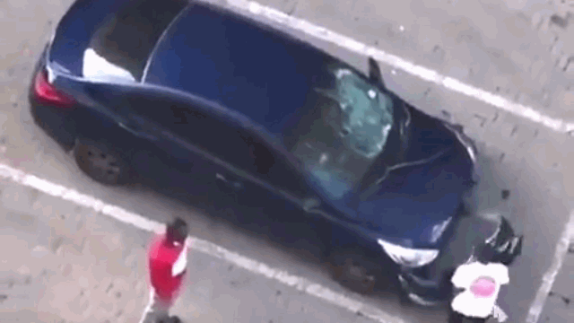 video cay cu vi bi cam sung vo co pha xu ly vo cung ton kem