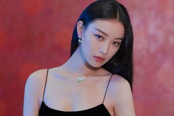 tu vi 12 con giap ngay 2952021 bi tieu nhan deo bam lai them hoa hao tai pha cua khien suu kiet que