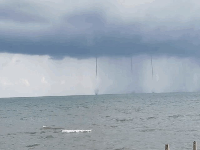 video voi rong bat ngo xuat hien nhu thuy cung o thai lan