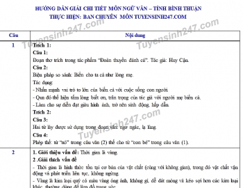 dap an de thi ngu van tuyen sinh lop 10 vao thpt tinh binh thuan nam 2020