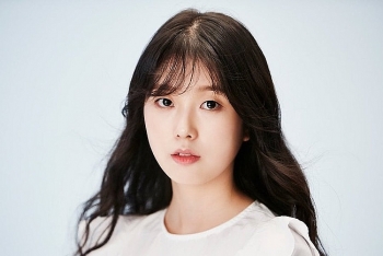 top chom sao su nghiep but pha ngoan muc duong cong danh len huong ruc ro