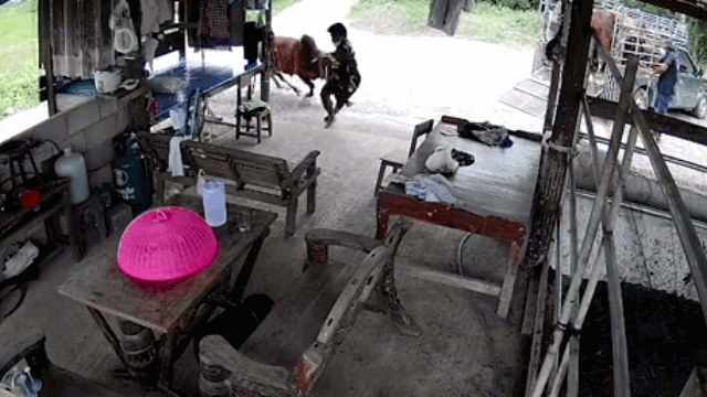 video bo bat ngo noi dien lao toi tan cong nguoi dan ong