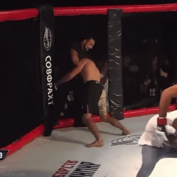 video trong tai tung tuyet chieu khien vo si bat tinh