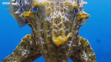 video muc nang dung tuyet chieu thoi mien ke thu