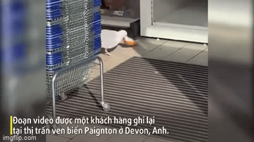 video mong bien dot nhap sieu thi cuop snack