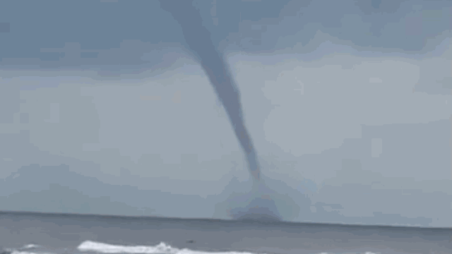 video voi rong cao hang tram met bat ngo xuat hien o thanh hoa