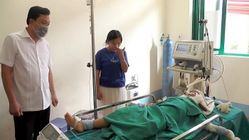 tin tuc phap luat nong nhat sang 19 hai ong chau guc tren vung mau nghi bi sat hai o ha giang