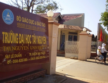 diem chuan dai hoc tay nguyen xet hoc ba dot 1 nam 2020