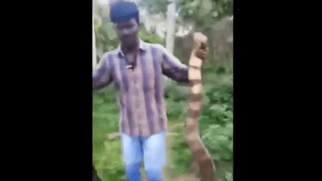 video nguoi dan ong dung tay khong bat ho mang chua khong lo duoi long suoi