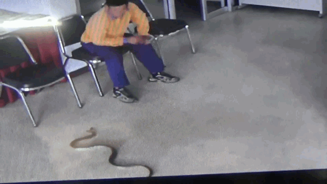 video ran khung dot nhap don canh sat chom len tan cong nguoi