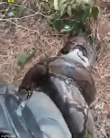 video dang cau ca thi bi tran khong lo tan cong nguoi dan ong co pha xu ly cuc binh tinh