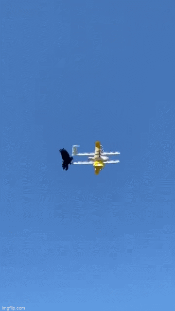 video drone bat ngo bi chu qua tap kich dien cuong