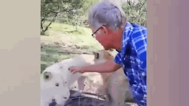 video lieu mang vuot ve su tu nguoi dan ong nhan ngay ket dang