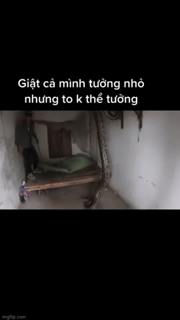 video hai hung canh tran khung bo vao nha tan cong nguoi