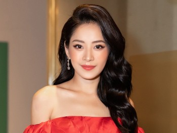 ro tin chi pu sang xu co hoa hen ho thieu gia cua tap doan nghin ty