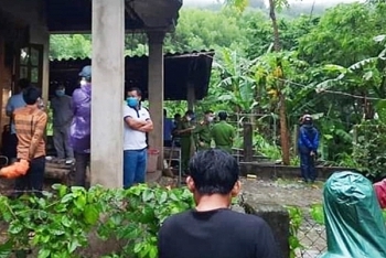 thong tin phap luat sang 910 pha duong day dung phieu linh luong huu rom mang cam co