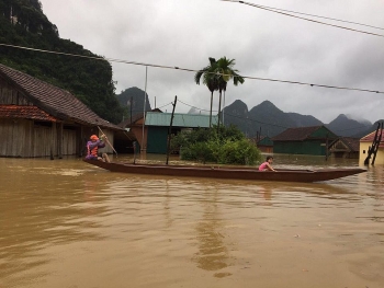 lu len nhanh nhieu lang mac o quang binh chim sau trong nuoc