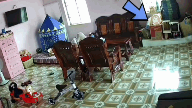 video thay ran bo vao nha nguoi phu nu hoang loan la het chong nam tren vong bat day that kinh