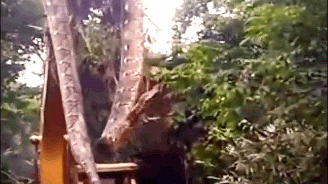 video may xuc tom song tran khong lo khien nhieu nguoi hoang hon