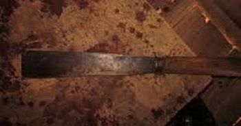 thong tin phap luat chieu 411 bat khan cap nguoi bo chem chet con trai 8 tuoi