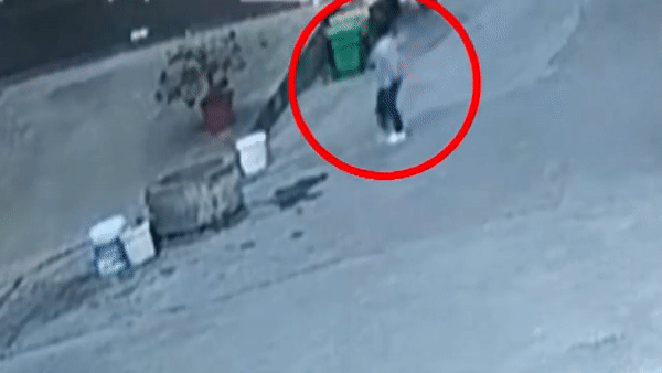 video mai noi chuyen dien thoai va choi dua voi cho con be 3 tuoi vap nga xuong gieng