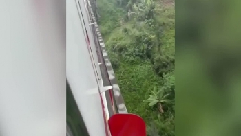 camera giao thong biet khong the tranh tau nguoi dan ong phan xa xuat than bang cach du cot dien de giu mang