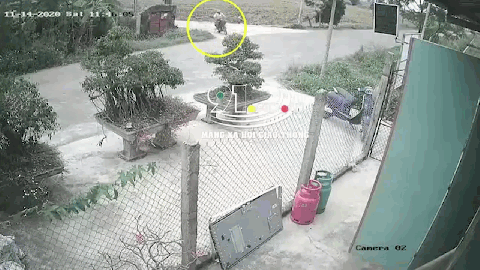 camera giao thong o to vuot au tong nguoi dan ong vang 5 met tren duong lang