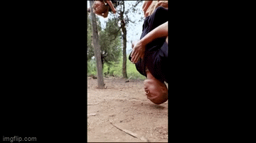 Video: Tiểu hòa thượng gây sốt với màn cuốn người quanh thân cây