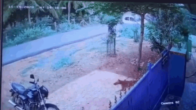 camera giao thong o to mat lai lon vong roi hat vang 2 nguoi dan ong ra khoi xe