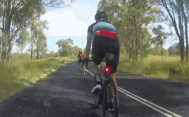 Tình huống hài hước: Đang cắm đầu đạp xe, người phụ nữ bất ngờ bị Kangaroo lao ra tung cú đá như trời giáng