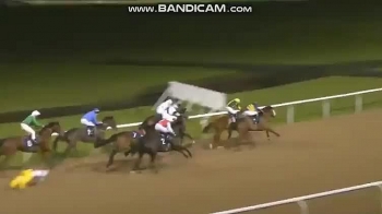 Video: Kỵ thủ thoát chết thần kỳ sau khi bị văng từ lưng ngựa xuống đất rồi lộn nhiều vòng, bị cả bầy giẫm đạp