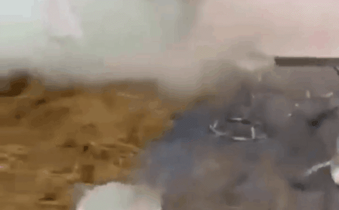 cay cu vi nguoi yeu cu di lay chong thanh nien dot rap cuoi khien 2 ho nhao nhao bo chay