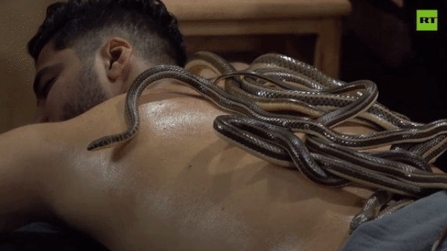 Video: "Gai người" với dịch vụ massage bằng rắn ở Ai Cập, không dành cho người yếu tim