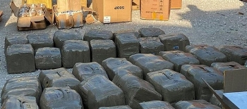 thong tin phap luat sang 2312 phat lo hon nua tan can sa ep thanh banh giau trong container