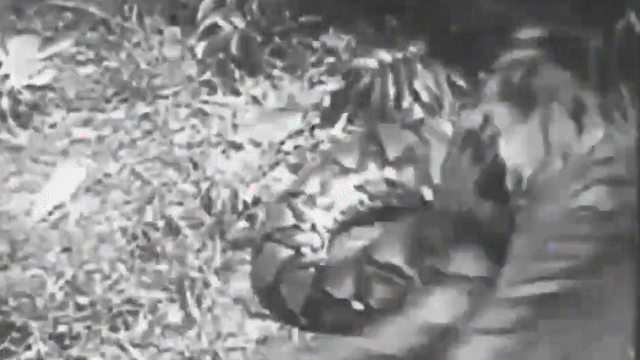 video quyet dinh tan cong tran vua manh ho linh ket cuc e che