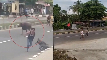Video: Trâu "điên" xổng chuồng húc loạn xạ người đi đường ở Indonesia