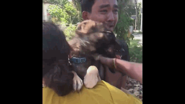 video cho bi lac van co tim ve voi chu nhan theo cach it ai ngo