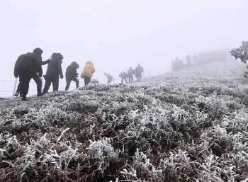 un un len dinh mau son ngam bang tuyet