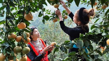 dac san 3 mien hoi tu cho tet phuc vu nguoi dan