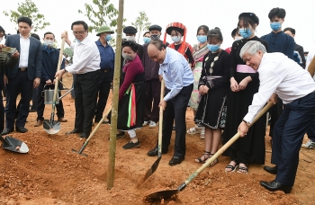 thu tuong phat dong chuong trinh trong 1 ty cay xanh tai tuyen quang