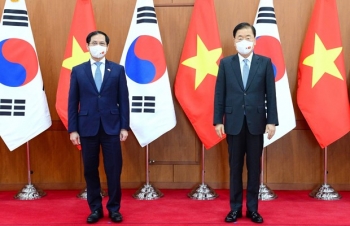 Việt Nam - Hàn Quốc: đi sâu thảo luận các biện pháp thúc đẩy quan hệ Đối tác hợp tác chiến lược