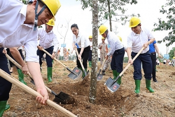 tct dien luc mien bac tiep noi phong trao vi mot viet nam xanh tai khu di tich lich su den hung phu tho