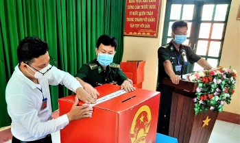 cu tri o cum dao hon khoai ca mau di bau cu som