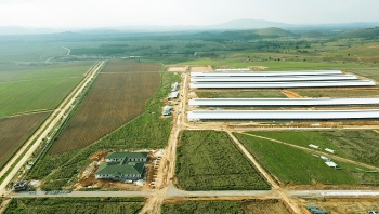 to hop trang trai tai lao cua vinamilk day nhanh tien do hoan thanh giai doan 1