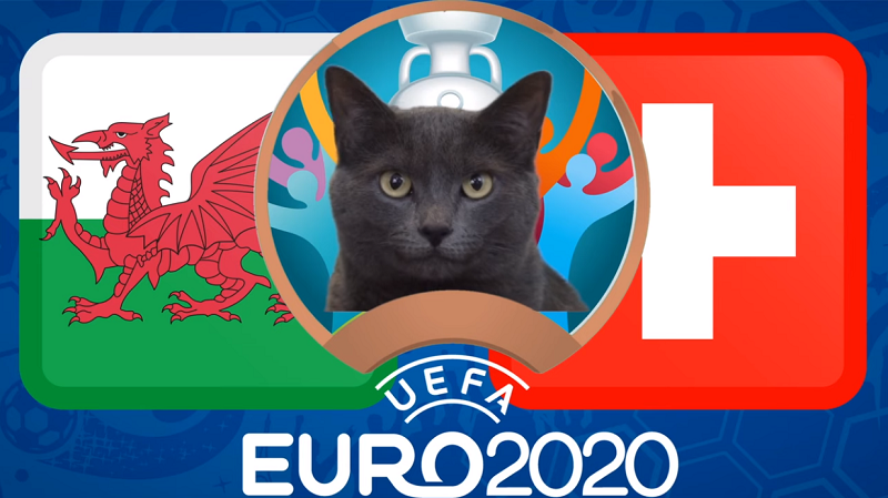 Mèo tiên tri dự đoán Xứ Wales vs Thụy Sĩ - EURO 2021: Kết quả bất ngờ