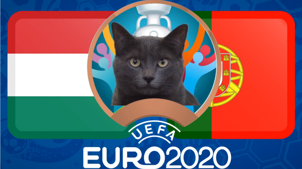 meo tien tri du doan hungary vs bo dao nha euro 2021 meo cass dat niem tin o cr7