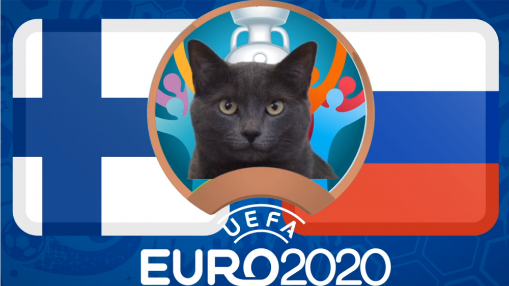 Mèo tiên tri dự đoán Phần Lan vs Nga - EURO 2021: Mèo Cass chọn 'Gấu Nga'