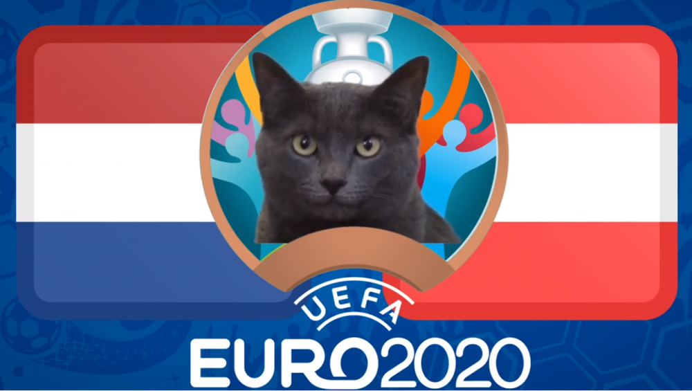 meo tien tri du doan ha lan vs ao euro 2021 meo cass yeu con loc mau da cam