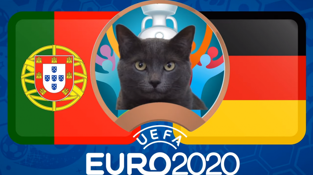 Mèo tiên tri dự đoán Bồ Đào Nha vs Đức - EURO 2021: Kết quả bất ngờ