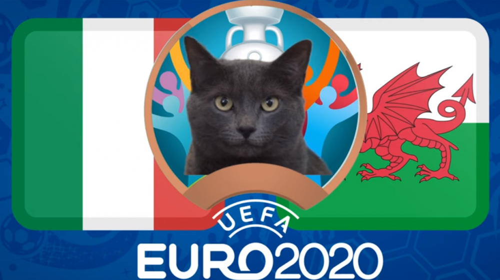 meo tien tri du doan italia vs xu wales euro 2021 meo cass yeu thich chu nha